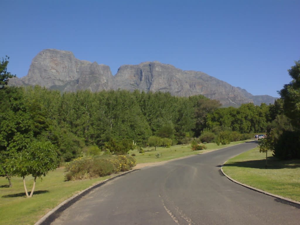 On our way to winetasting